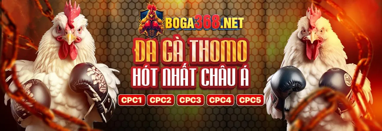 Đá Gà trực tuyến tại Typhu88